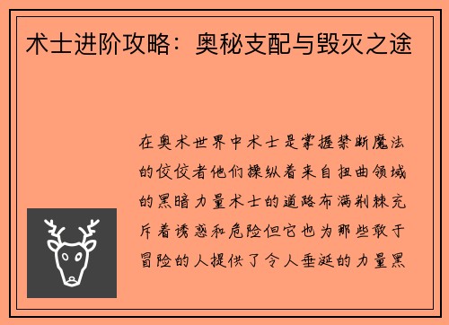 术士进阶攻略：奥秘支配与毁灭之途